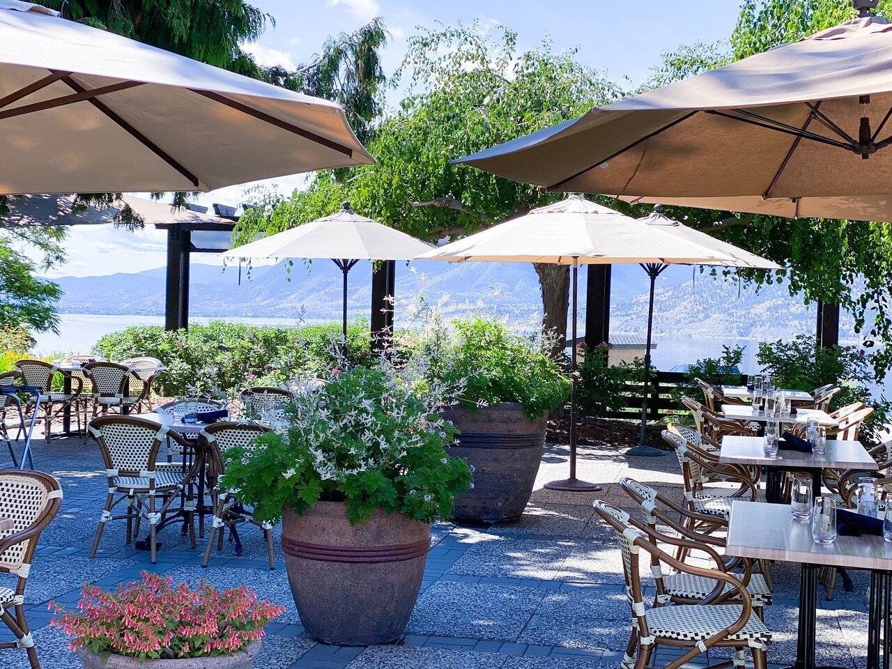 Lake Breeze Vineyards